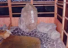 Hayama Onsen Horii Lodge - Fukushima