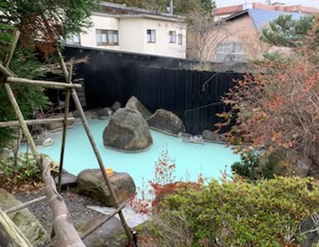 いろり湯の宿 大阪屋