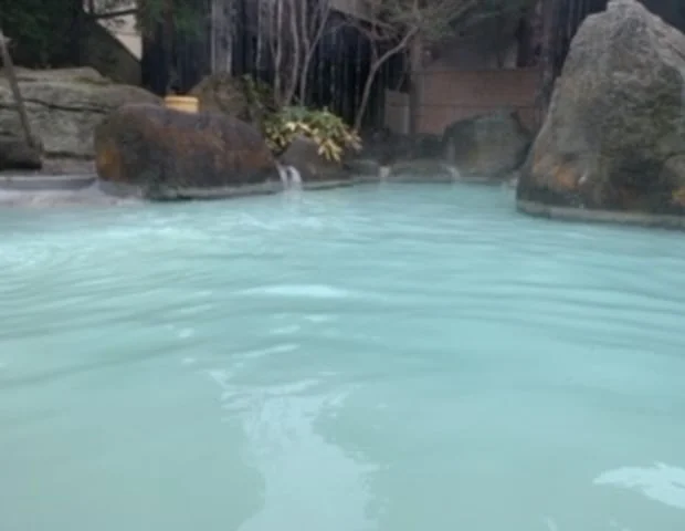 いろり湯の宿 大阪屋
