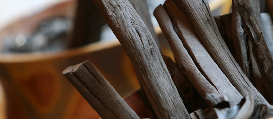 トップメイン画像5