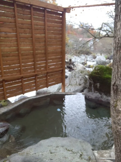 二岐温泉 柏屋旅館