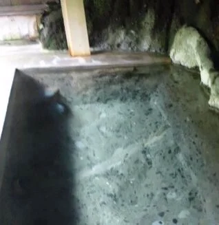 二岐温泉 柏屋旅館