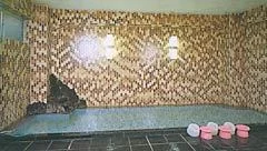 Tozan Onsen Toriichi Ryokan - Fukushima