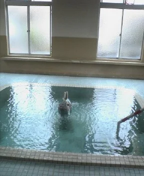 大門の湯（飯坂温泉共同浴場）