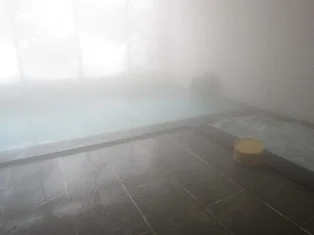 幻灯庵　月の庭