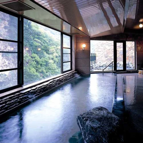 穴原温泉 渓苑 花の瀬