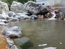 山口温泉きらら289