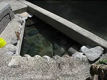 旅館井筒屋
