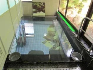 湯岐温泉 和泉屋旅館