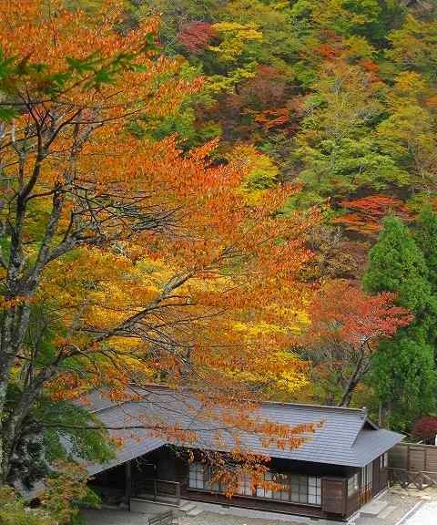 旅館大黒屋