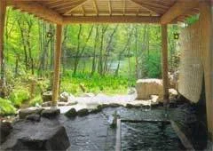 裏磐梯高原 ペンション サッチモ - 福島県