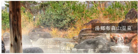 湯郷布森山温泉(旧猪苗代アルカリ温泉布森山の湯)(閉館しました)
