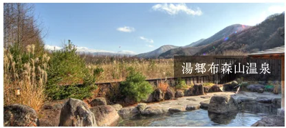 湯郷布森山温泉(旧猪苗代アルカリ温泉布森山の湯)(閉館しました)