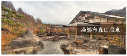 湯郷布森山温泉(旧猪苗代アルカリ温泉布森山の湯)(閉館しました)