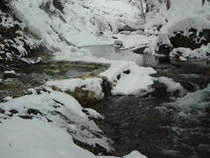 鹿の湯露天風呂