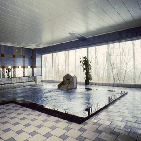 Hayama Onsen Villa Inawashiro - Fukushima