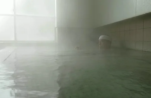国民宿舎　さぎの湯旅館