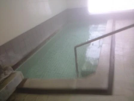 国民宿舎　さぎの湯旅館