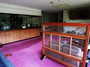 西田屋