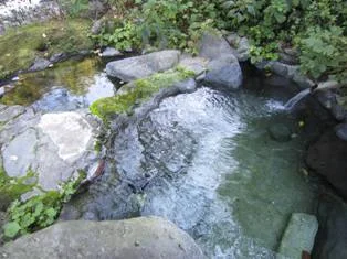 二岐温泉 湯小屋旅館（旧 新湯小屋旅館）