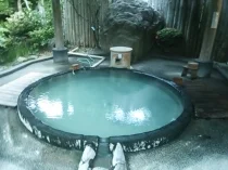 岳温泉宝龍荘 - 福島県