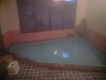 湯野上温泉 藤の湯 えびす屋