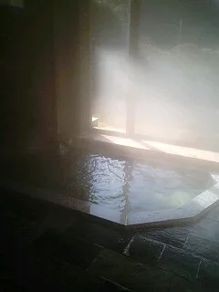玉の湯温泉 玉の湯旅館 上の元湯（閉館しました）