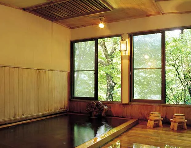 辰巳屋山荘 里の湯