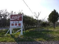 標茶温泉 味幸園