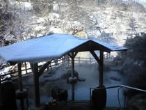 旅館新湯(閉館しました)