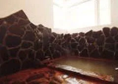 Tenkyodai Onsen An English Inn - Fukushima