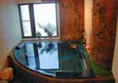 Critter House - Mt. Bandai - Fukushima