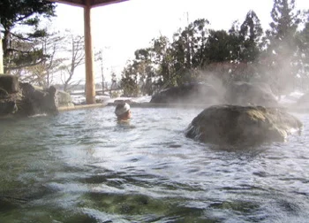 のんびり温泉（閉館しました）