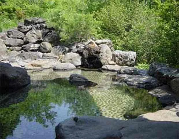大玉温泉 金泉閣