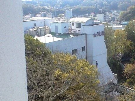 元禄彩雅宿 古滝屋（げんろくさいがじゅく ふるたきや）
