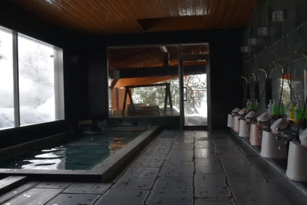 Syourinkaku Ryokan - Fukushima