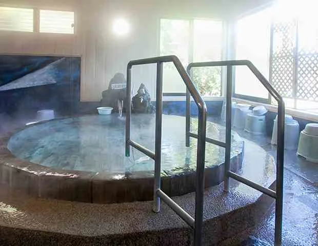 みちのく霊泉 やわらぎの湯