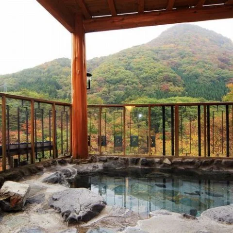 会津湯野上温泉　ホテル大島 - 福島県