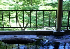 会津芦ノ牧温泉　新湯 - 福島県