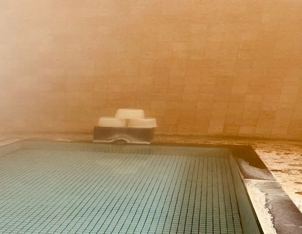 飯坂温泉 平野屋旅館