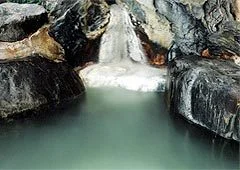 いわき湯本温泉　桜と欅の宿　住乃江 - 福島県