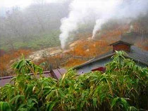 新野地温泉 相模屋旅館