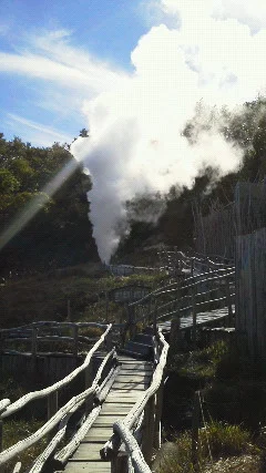 新野地温泉 相模屋旅館