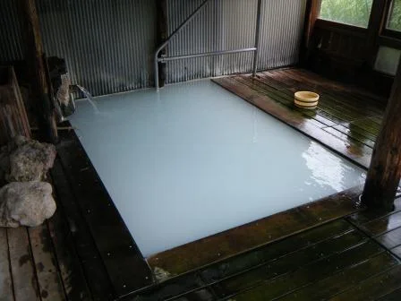 新野地温泉 相模屋旅館