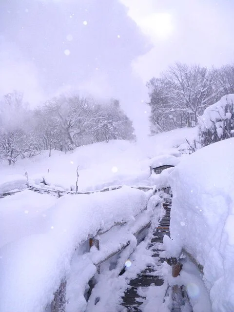 新野地温泉 相模屋旅館