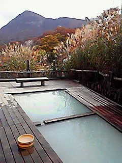 新野地温泉 相模屋旅館