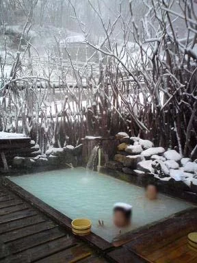 新野地温泉 相模屋旅館