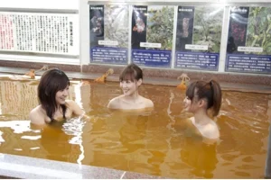 湯乃泉 相模健康センター(閉館しました)