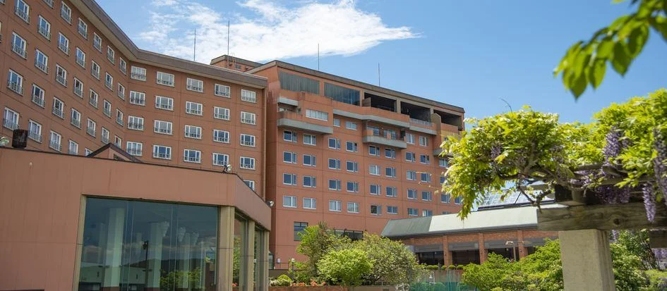 トップメイン画像5