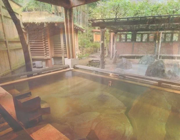 天山湯治郷（旧 ひがな湯治 天山）